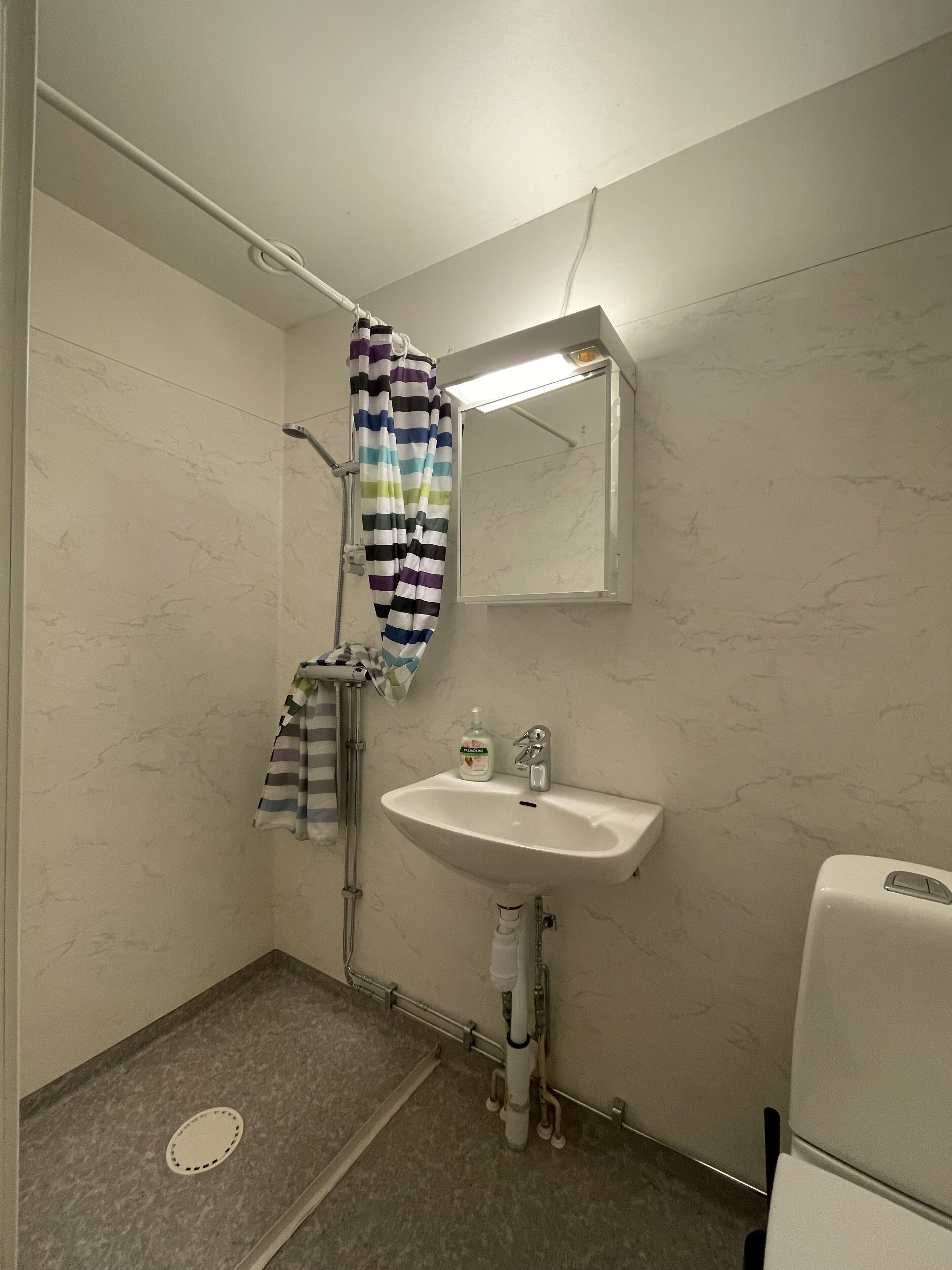 Un baño con ducha, lavabo e inodoro.