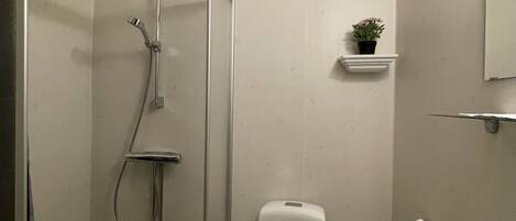 Un baño con ducha separada por mampara de vidrio, inodoro y lavamanos.