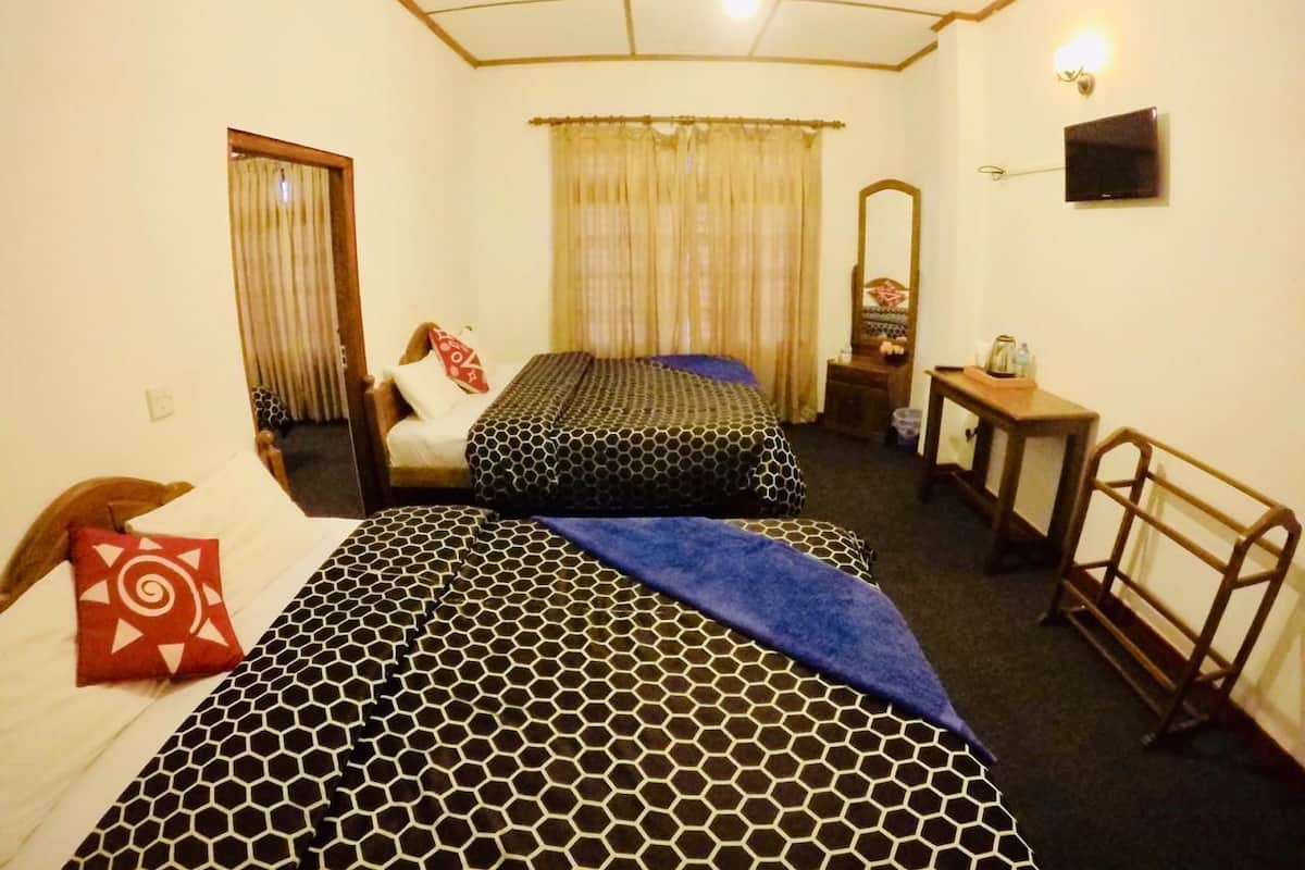Habitación de hotel con dos camas, un espejo, un televisor y una mesita.
