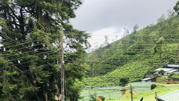 A lush garden with a pathway, a gazebo, and a view of a hilly landscape. - Royal Mount Hotel (Nuwara Eliya)