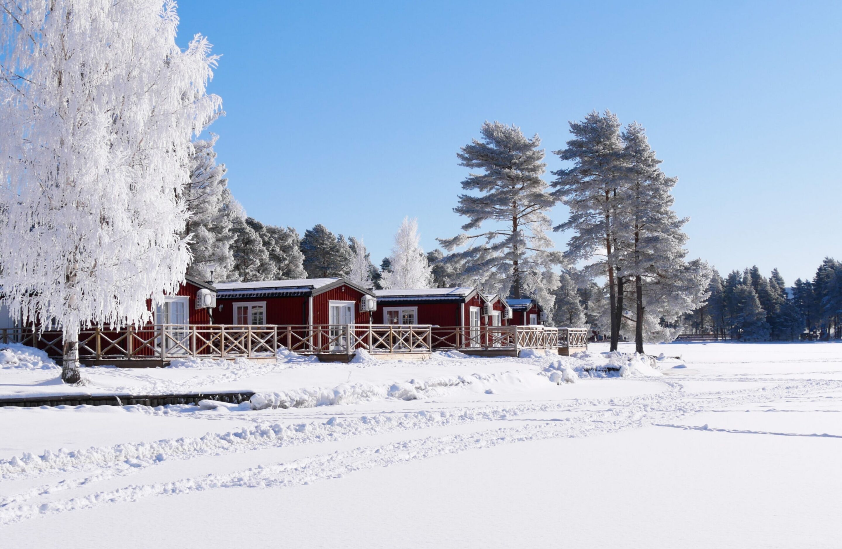 A snow-covered landscape with a red cabin and tall trees.