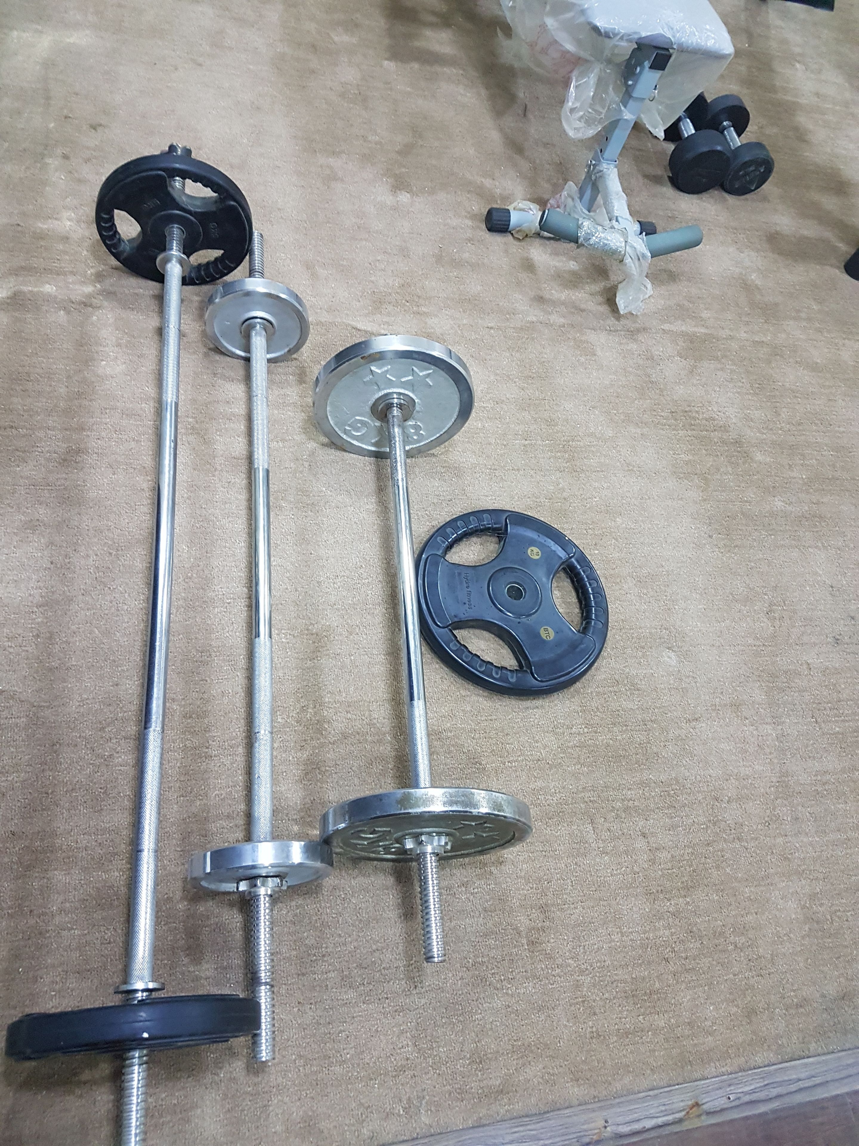 A weightlifting bench with a barbell, weight plates, and a dumbbell on a beige carpet.