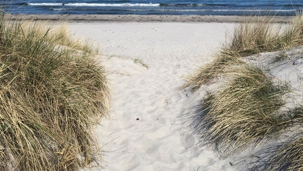 A sandy beach path leading to the ocean with grassy dunes on either side. - Kapitäns-Häuser Breege (Breege)