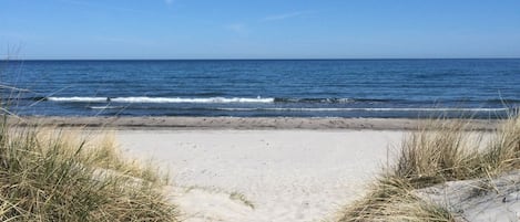 Pantai di sekitar, pasir putih, dan voli pantai