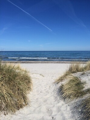 A sandy beach path leading to the ocean with grassy dunes on either side.
