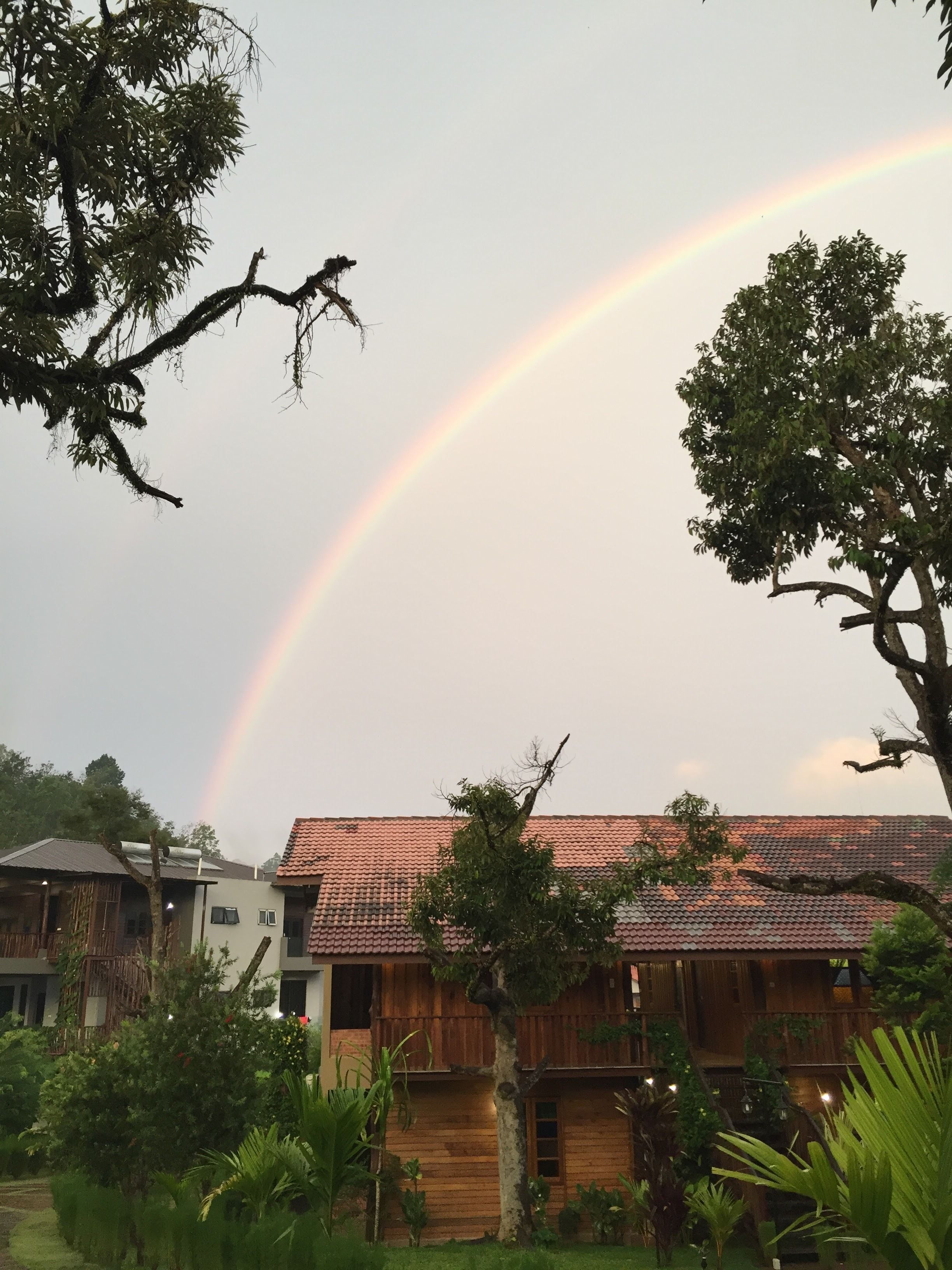 A house with a red-tiled roof, surrounded by lush greenery and a visible rainbow in the sky.
