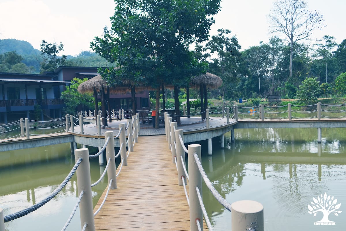 Un puente de madera con barreras de cuerda que conduce a un pabellón de techo de paja sobre un cuerpo de agua, rodeado de árboles y edificios.