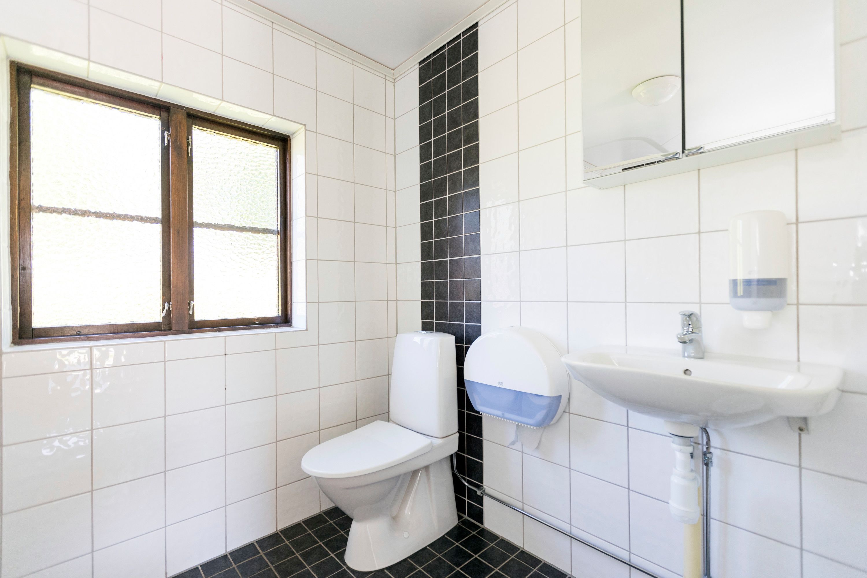 A bathroom with a toilet, sink, and window.