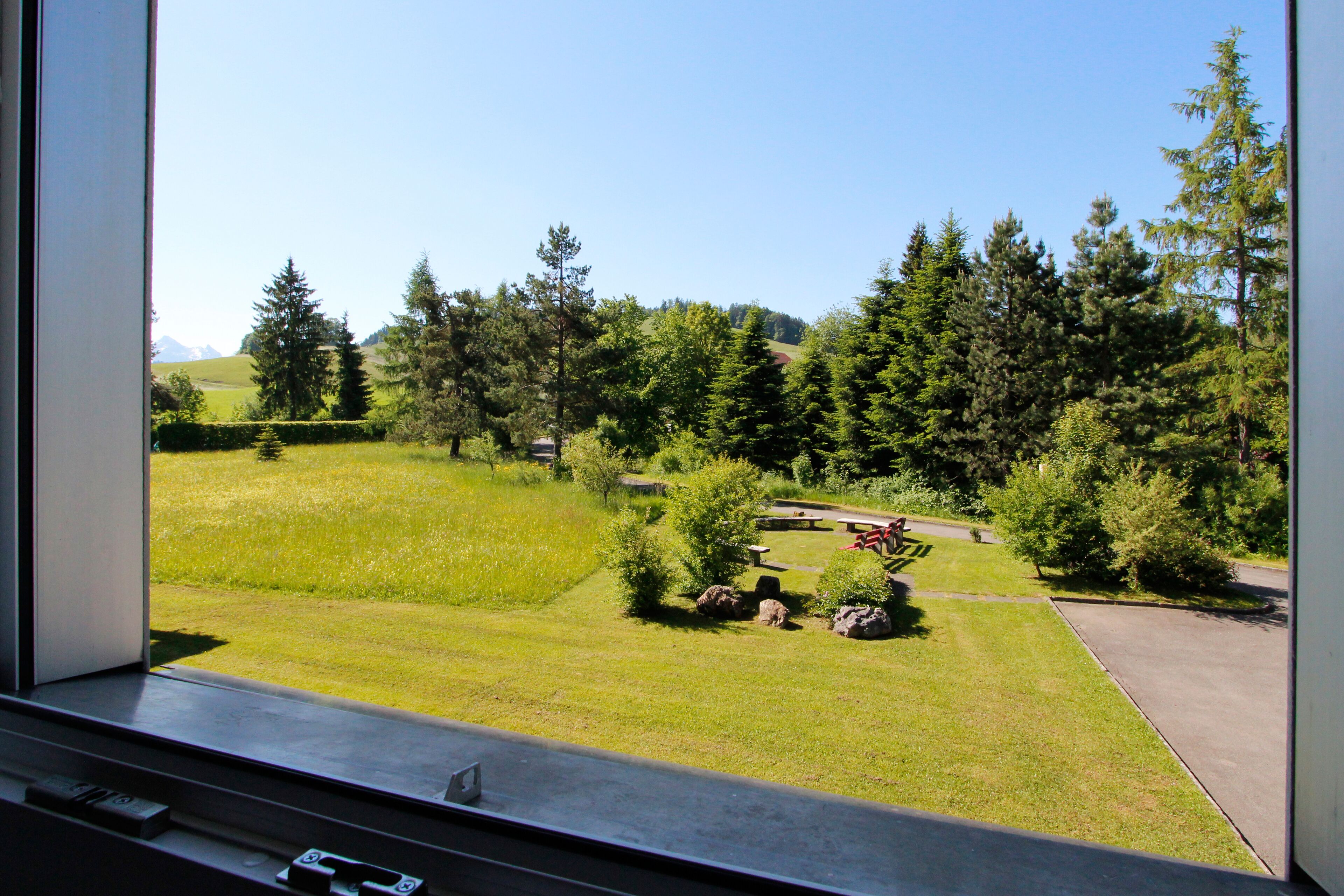 basic single room, 1 single bed, shared bathroom | garden view