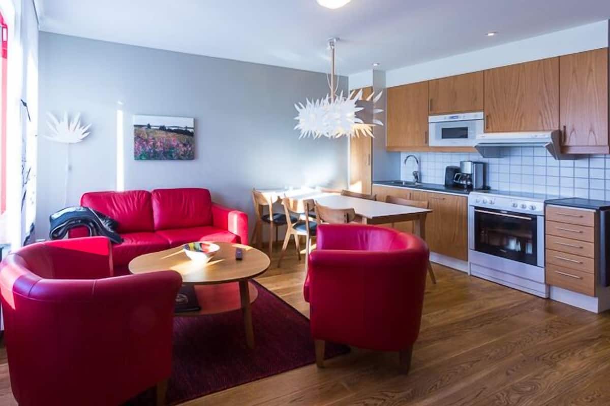 apartment, 2 bedrooms | living area | flat-screen tv, ping pong