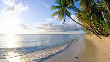 Vlak bij het strand, wit zand