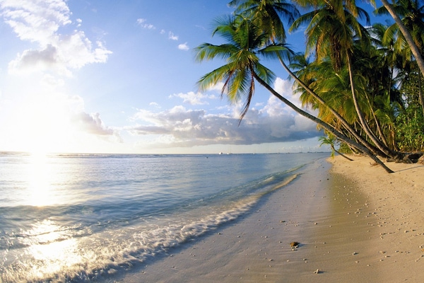 Beach nearby, white sand