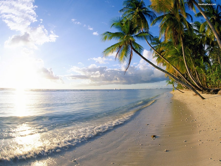 Beach nearby, white sand