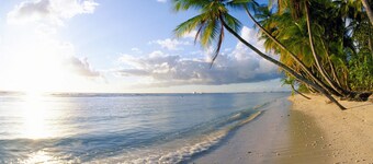 Bananaquit Apartments