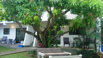 Un árbol con un banco debajo, un edificio blanco y un pequeño jardín con sillas y plantas.