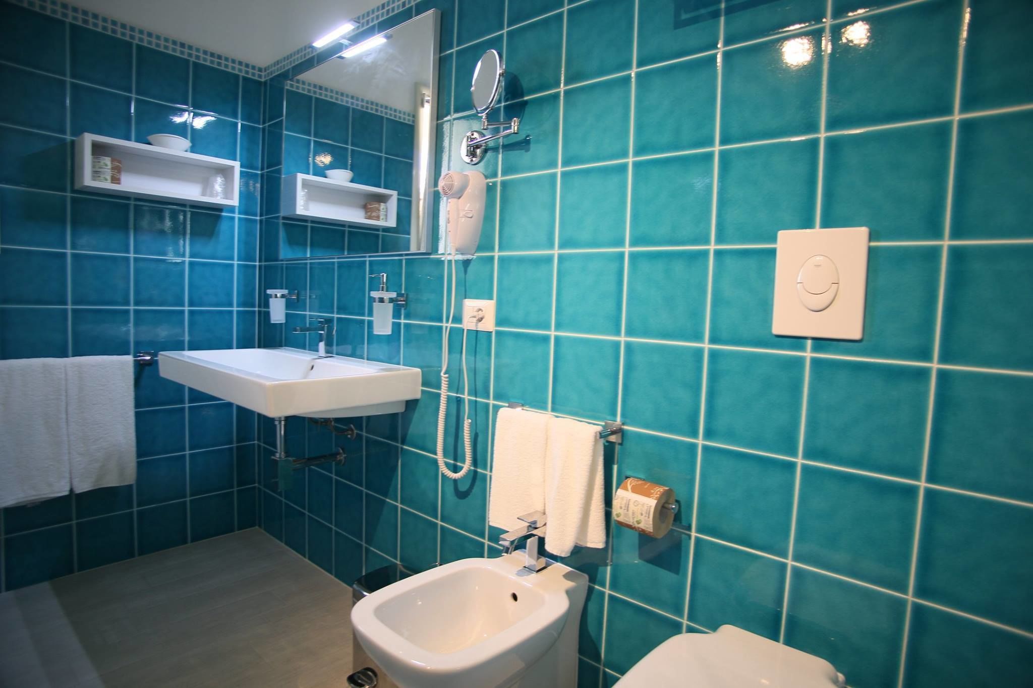 Foto - Hotel Regina Simius