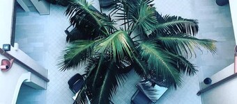 雷吉娜西米烏斯酒店