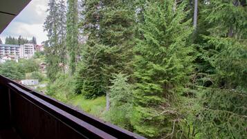 Standard Suite, Mountain View | Balcony