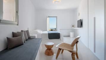 40-inch plasma TV with satellite channels, TV