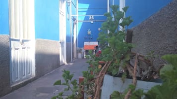 Cour