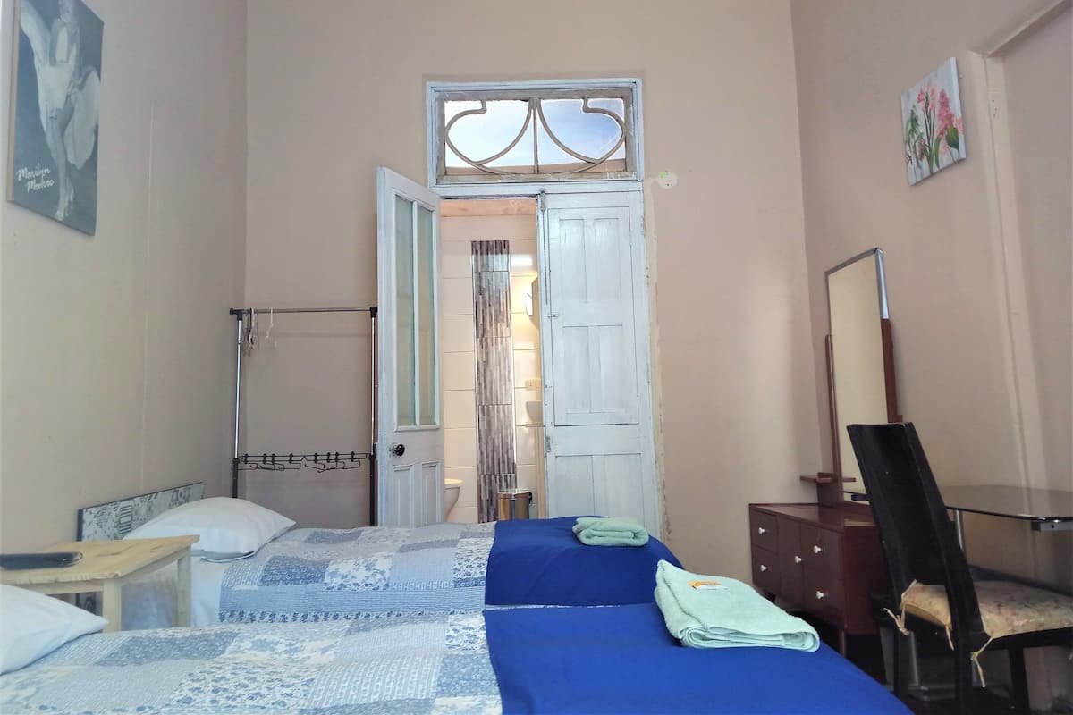 Klassieke tweepersoonskamer, 2 slaapkamers, privébadkamer, op benedenverdieping | Een bureau, een strijkplank/strijkijzer, gratis wifi, beddengoed