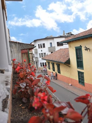 View from room