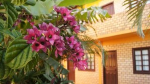 A building with a brick facade and a window with a brown shutter. - Alecrim Pousada (Garopaba)