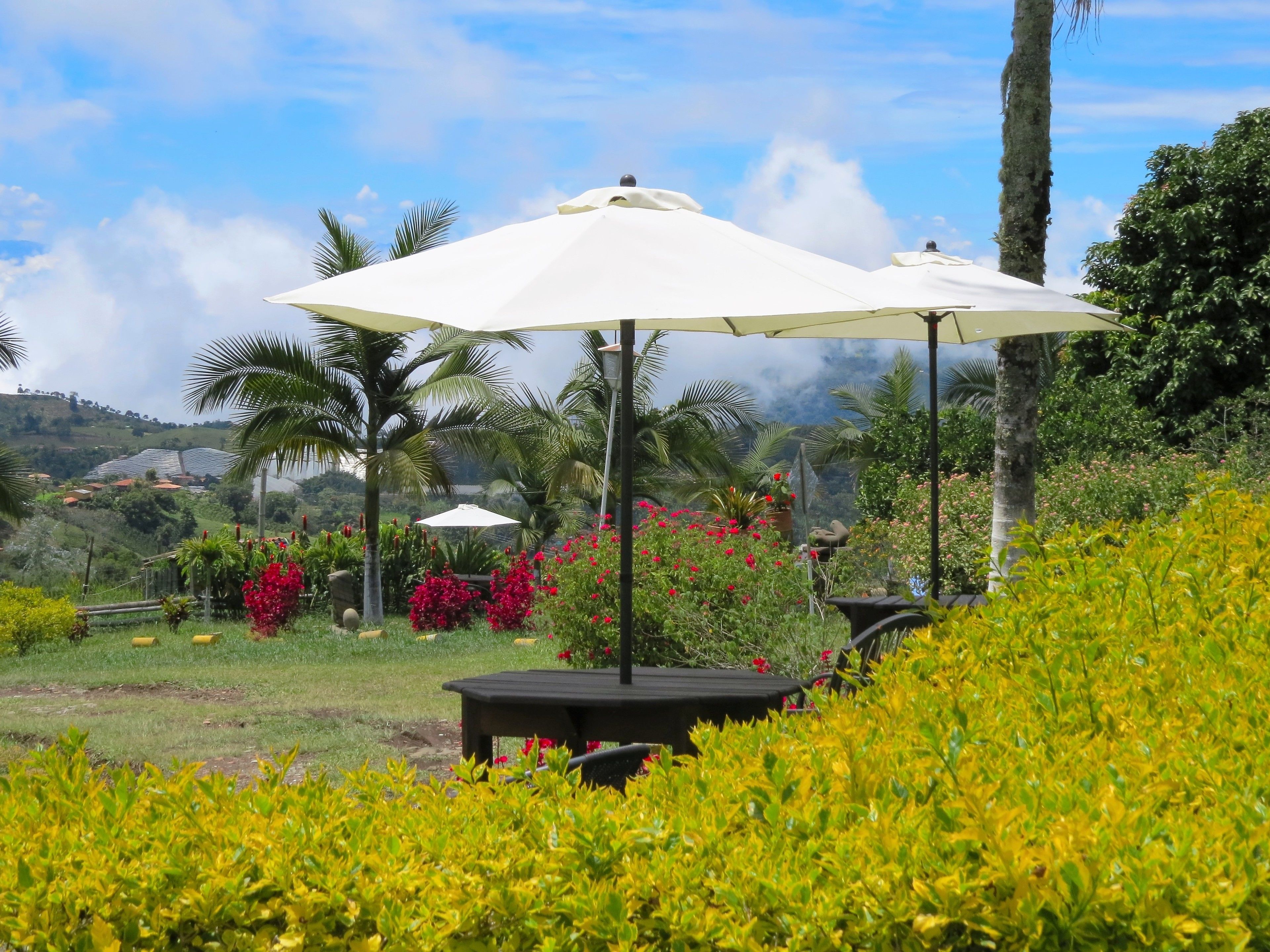 Aire de pique-nique/barbecue