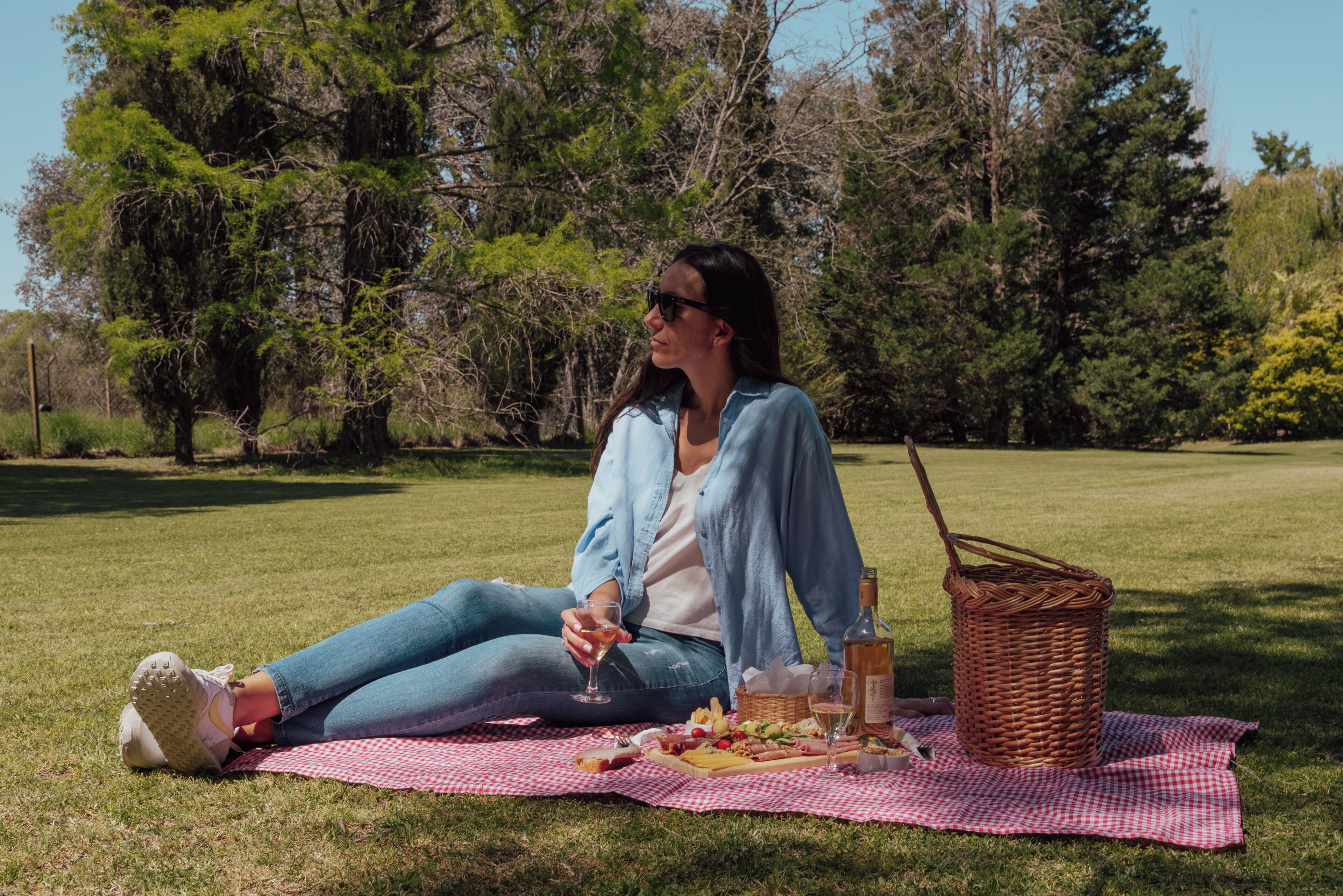 A person sitting on a checkered blanket outdoors with a picnic setup including food, drinks, and a basket.