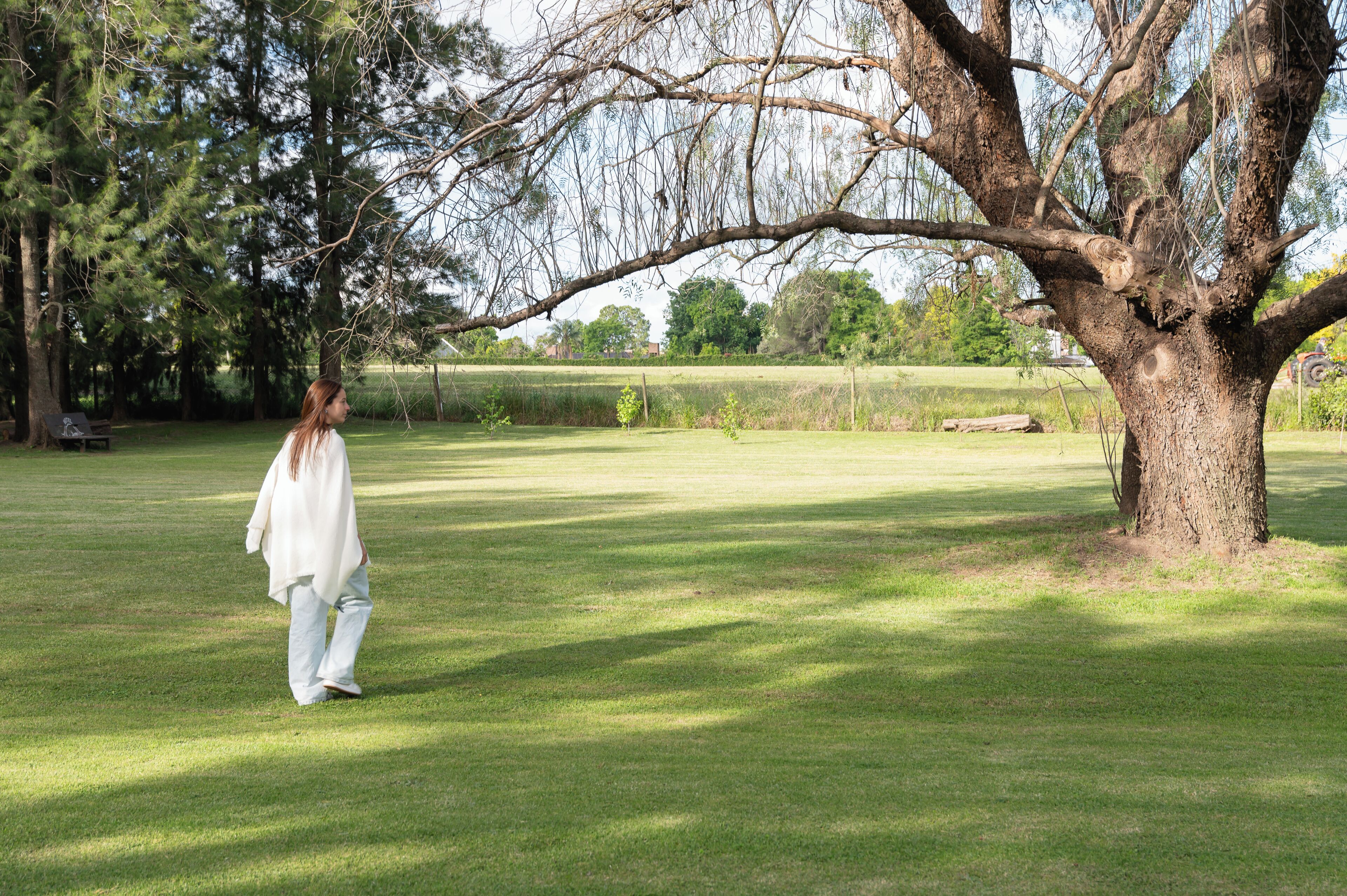 A person walking in a grassy park with trees and a bench.