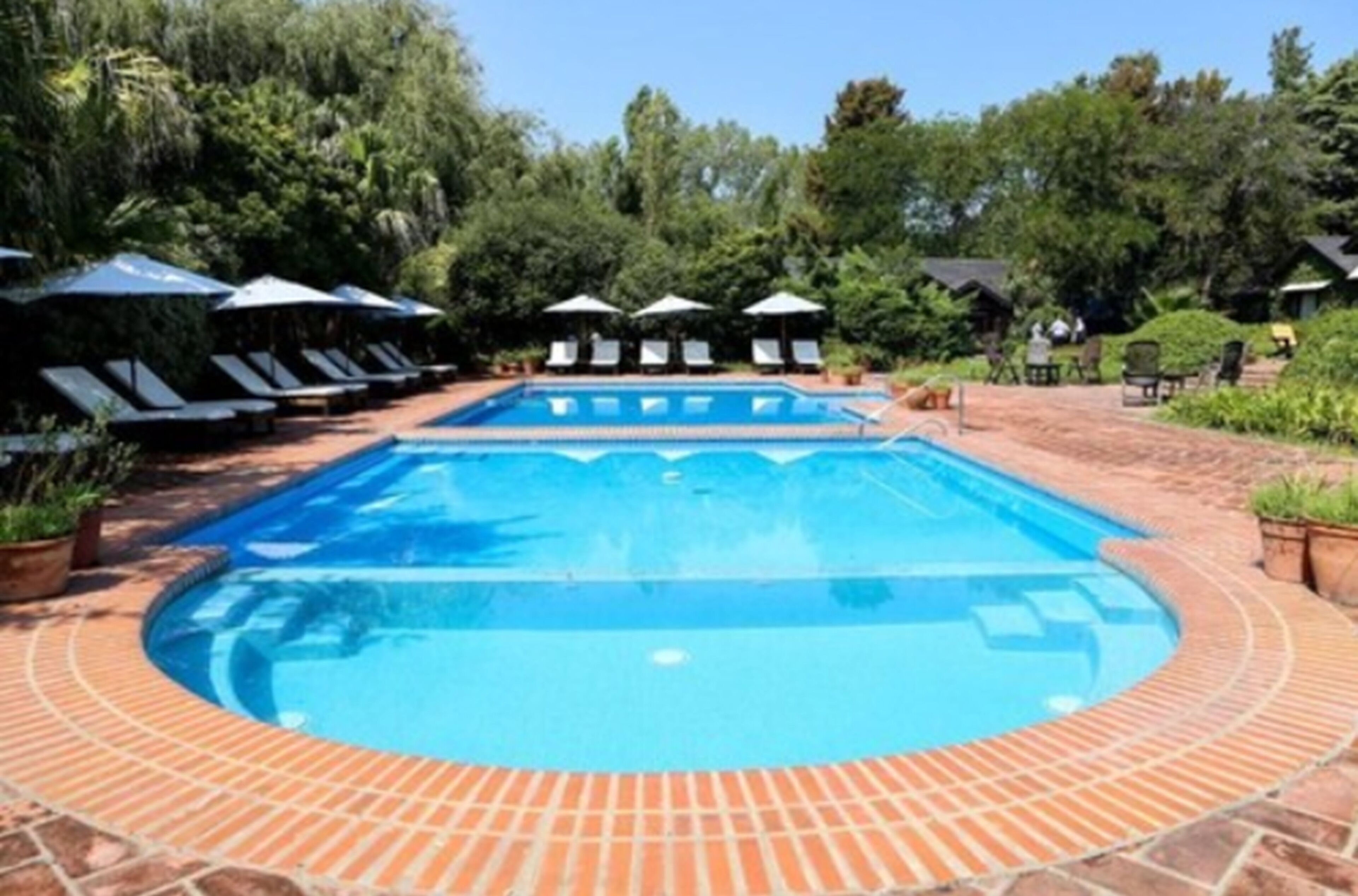 A rectangular swimming pool with a brick border, surrounded by lounge chairs and umbrellas, set in a landscaped area with trees and shrubs.
