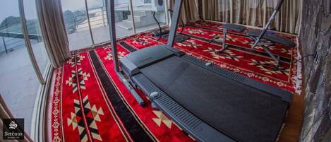 A room with a treadmill, a red patterned carpet, and a large window with curtains.
