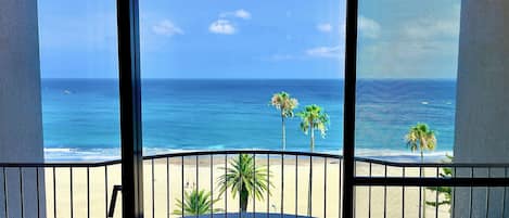 Premium bedding, down comforters, in-room safe, blackout drapes