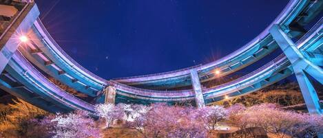 A multi-level bridge structure with illuminated blue lights against a night sky.