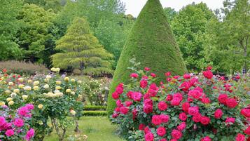 Un jardín con varios parterres de flores, incluyendo rosas y un tupido jardín vertical.