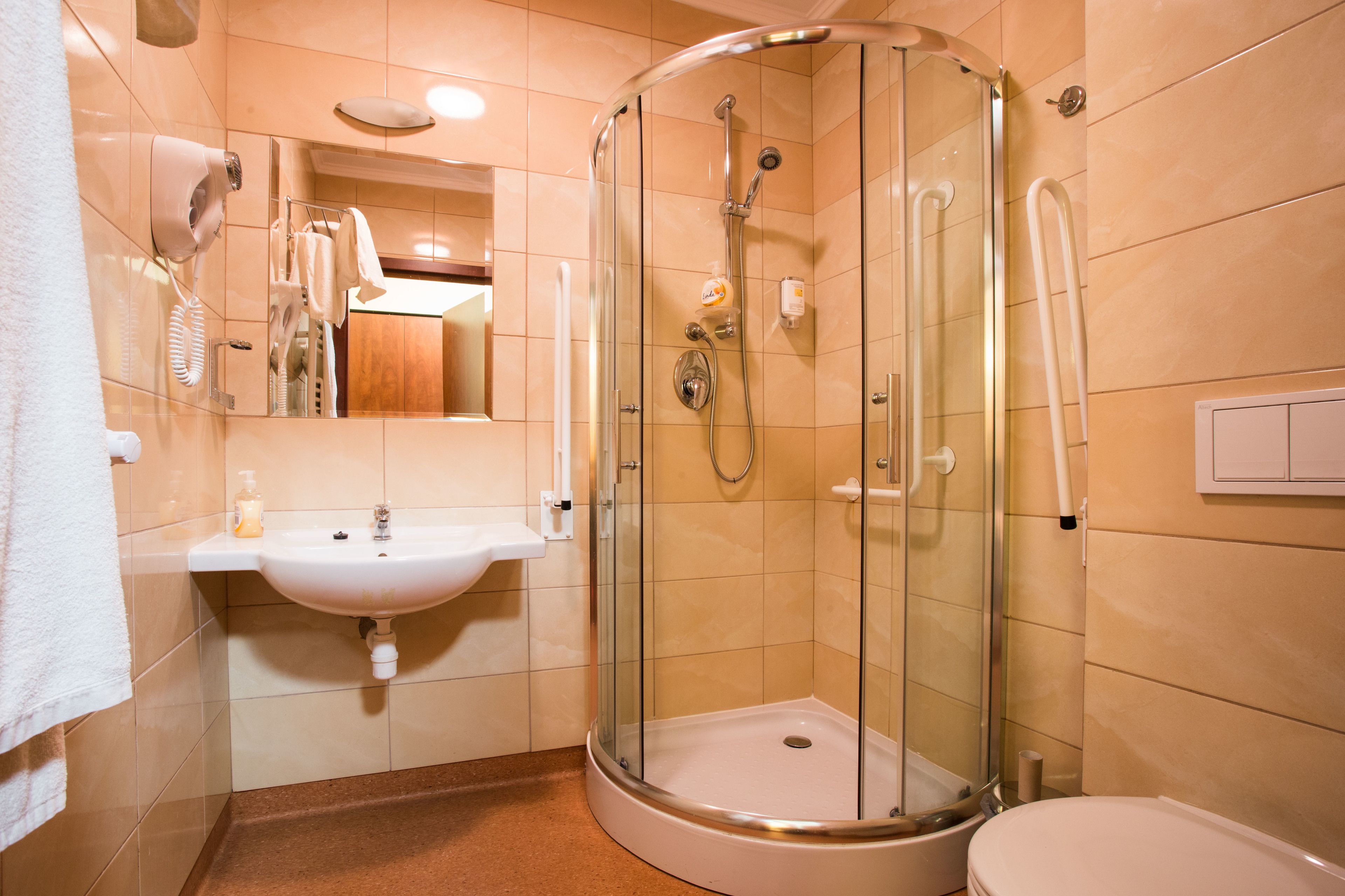 hair dryer, towels, soap, shampoo