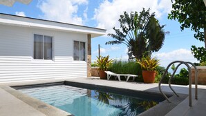 Une piscine avec une maison blanche en arrière-plan, entourée de plantes en pot et sous un ciel dégagé.