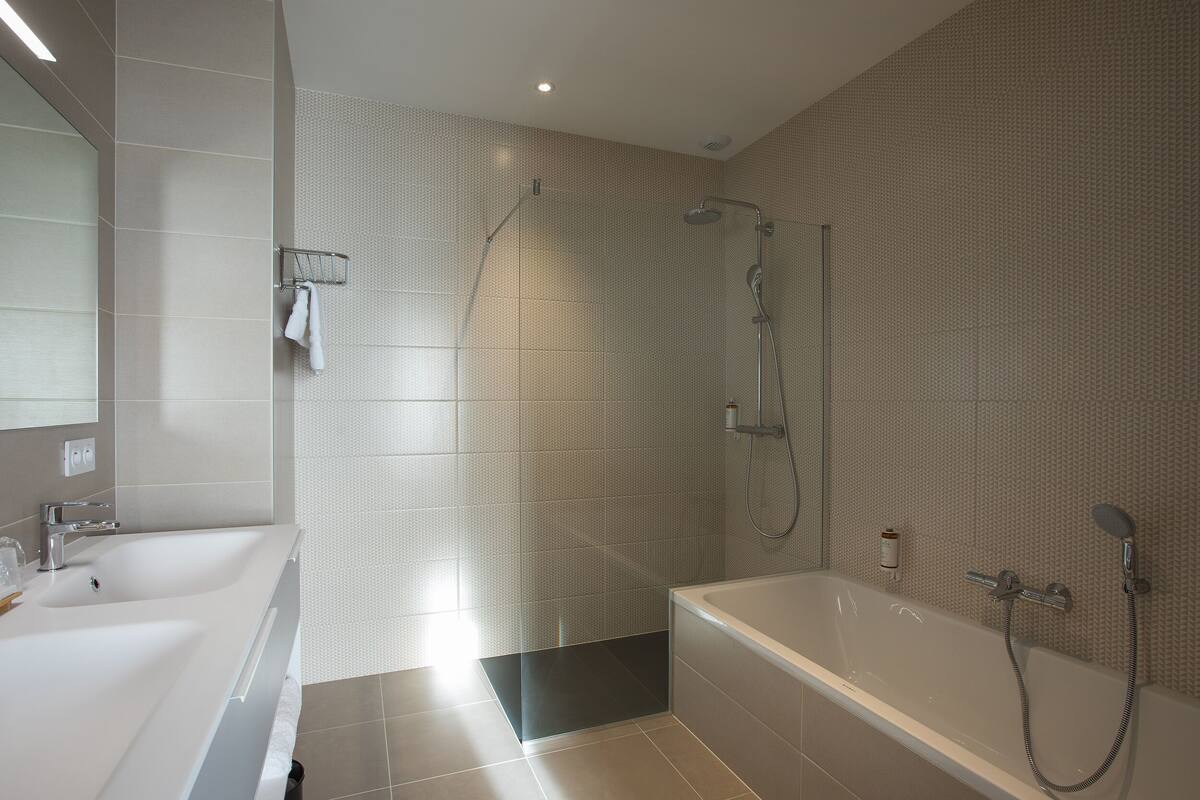 shower, free toiletries, hair dryer, towels