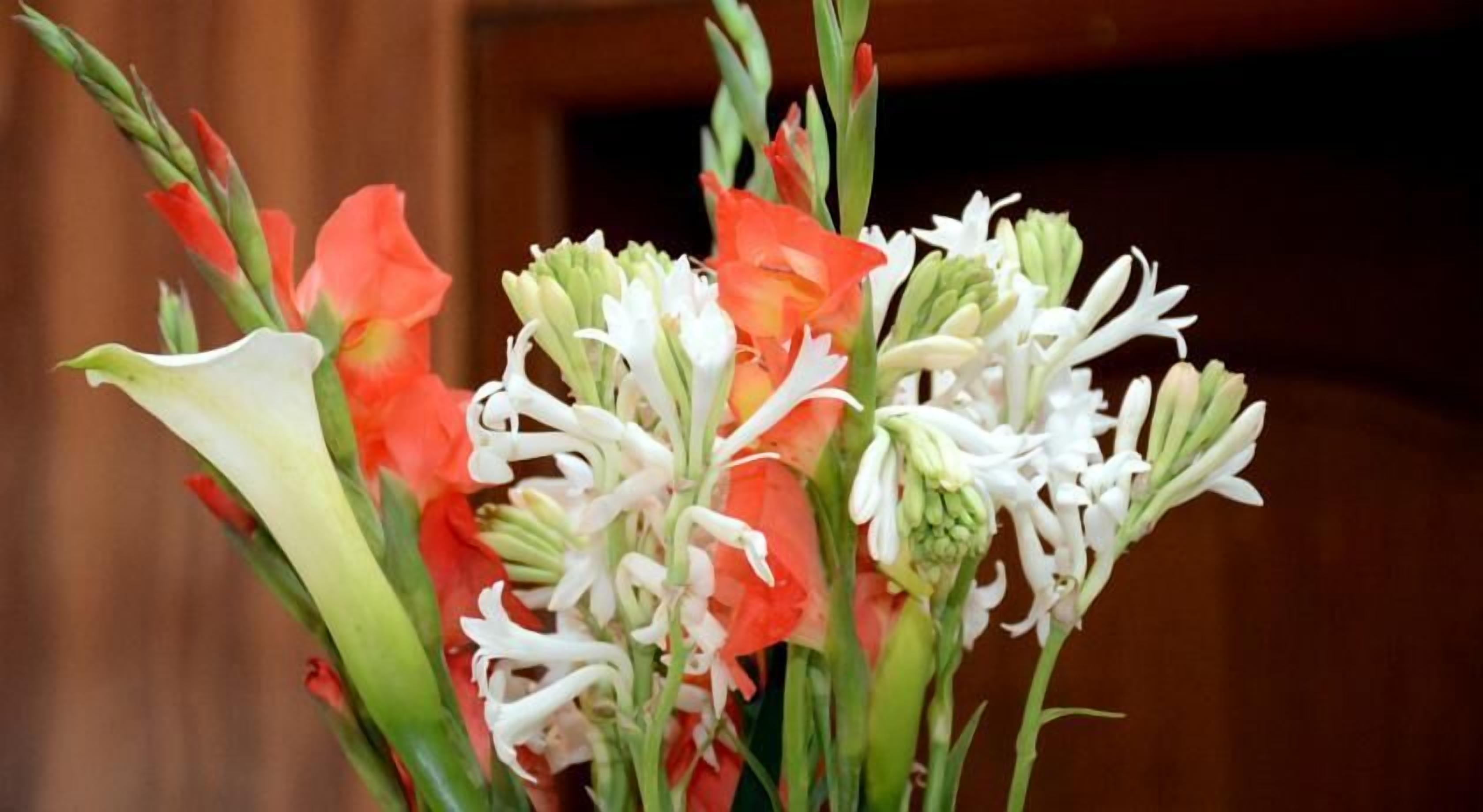 A bouquet of flowers with red and white blooms, possibly including lilies and tulips, in a vase.