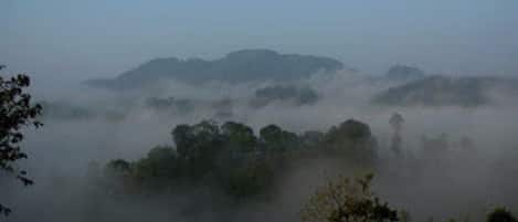 A misty landscape with dense forest and a distant hill.