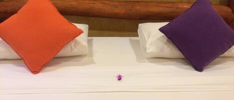 Desk, blackout curtains, rollaway beds