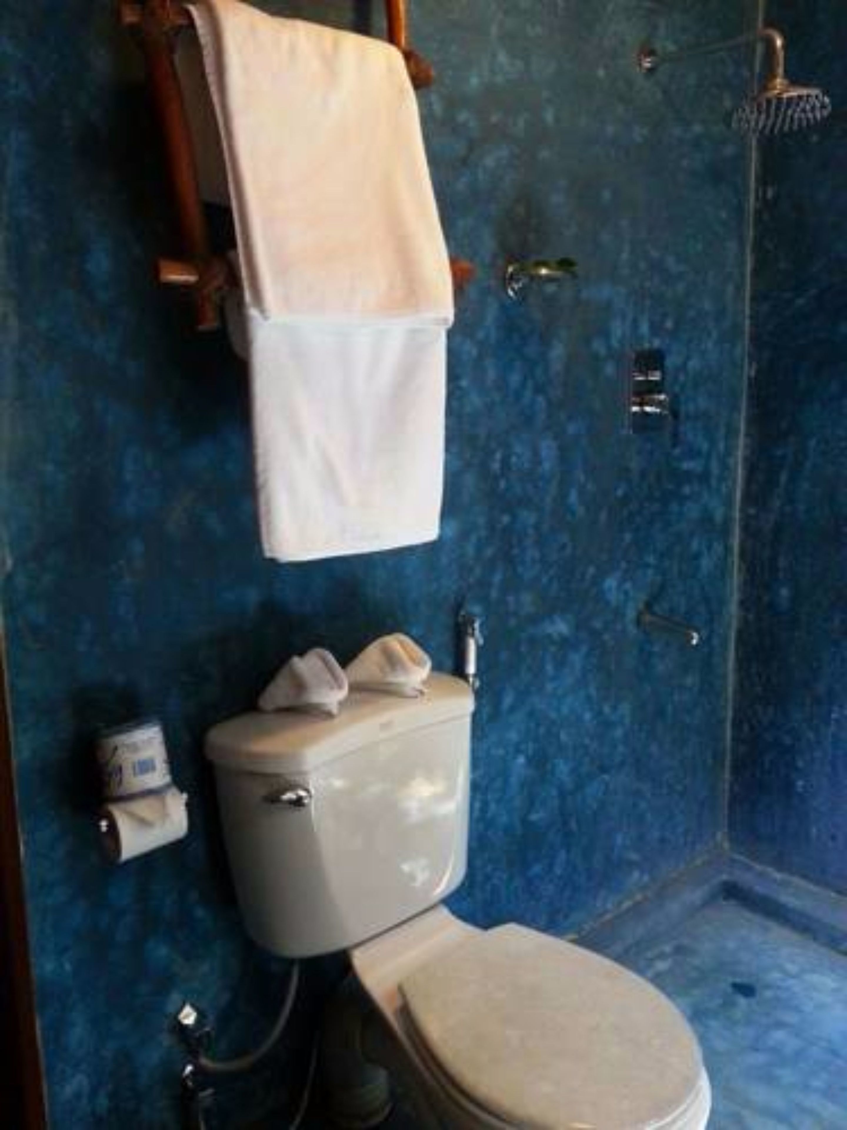 A bathroom with a blue textured wall, a toilet, a shower, and a towel rack.