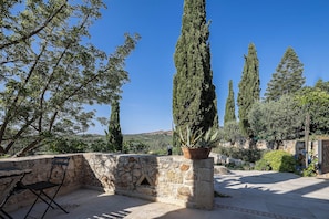 A stone patio with a chair, a potted plant, and tall cypress trees. - Erondas Cretan Country Villas (Mylopotamos)