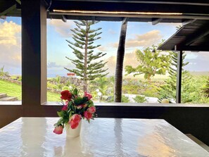 家庭别墅 | 露台