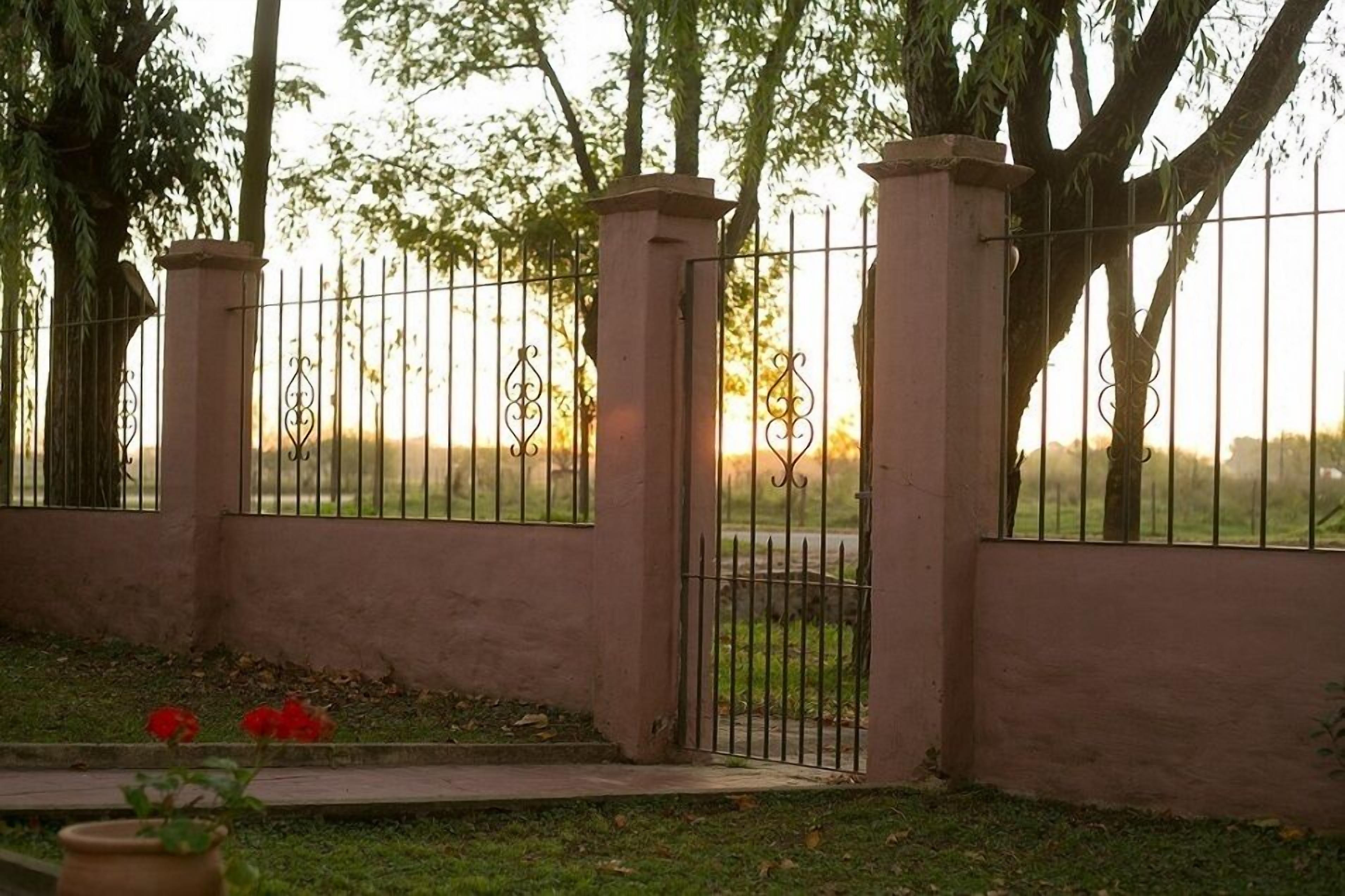 Un espace clos, délimité par une clôture en métal et un mur en béton, entouré d’arbres et d’herbe.