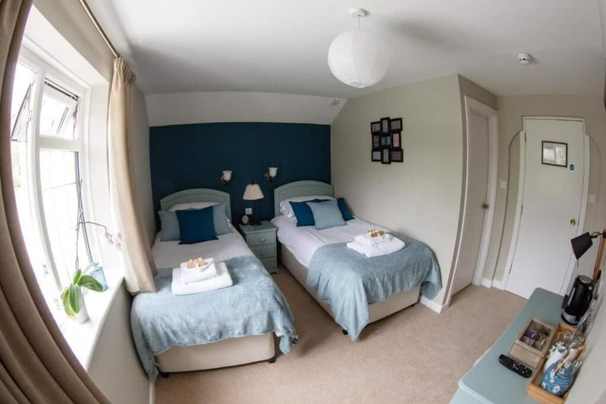 A bedroom with two beds, a nightstand, a lamp, a ceiling light, a window with curtains, and a door.