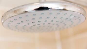 A showerhead with multiple round holes.