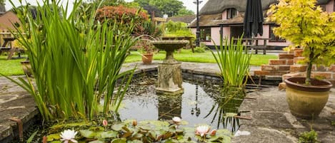 Jardim