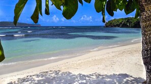Beach nearby, white sand - El Pelicano Apart-Hotel (Las Galeras)
