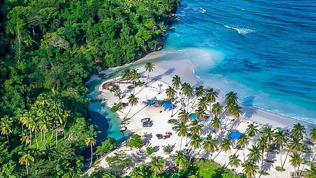 Une vue aérienne d’une plage bordée de palmiers, avec une eau d’un bleu limpide et un rivage sablonneux.
